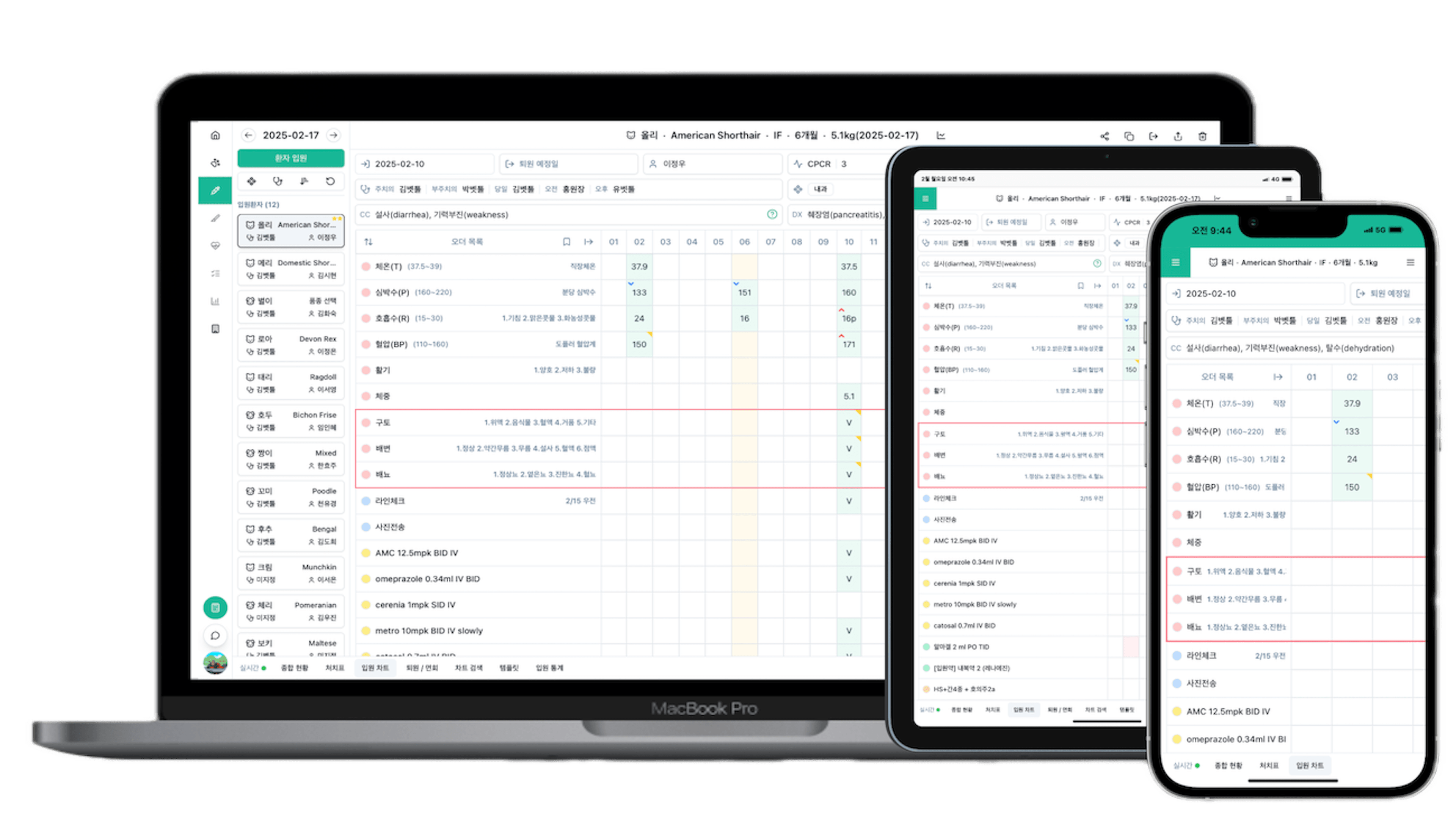 faqs